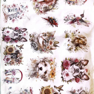 Láminas de sublimación